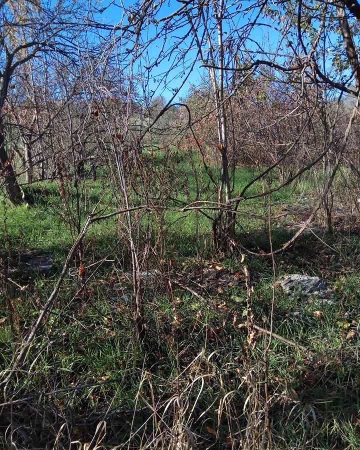 земля г Ставрополь р-н Октябрьский садовое товарищество Водник фото 1