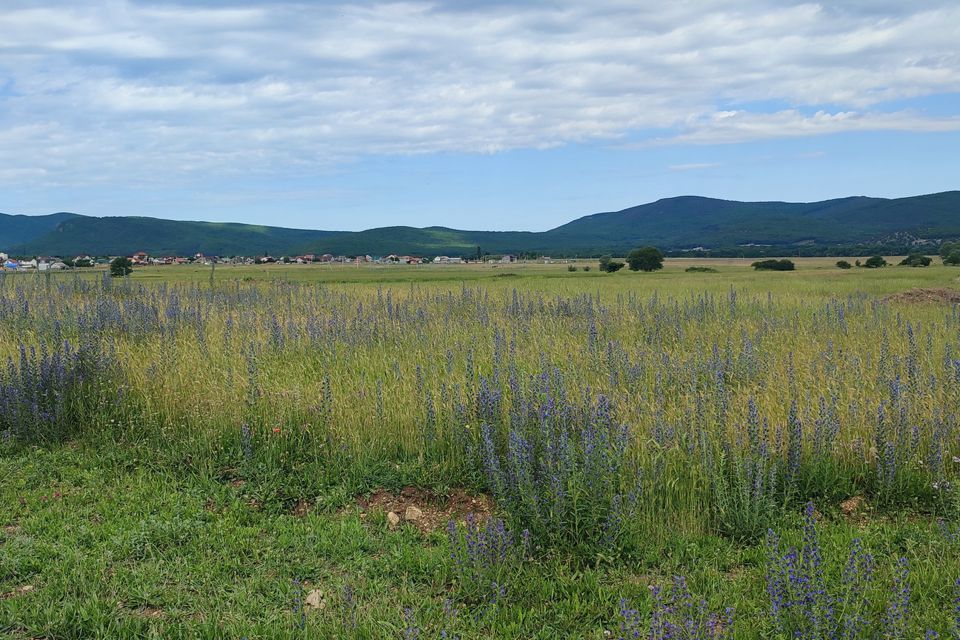 земля г Севастополь Балаклавский район, село Орлиное фото 10