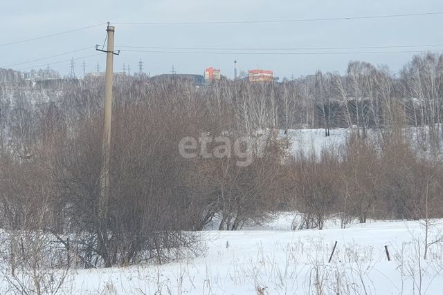 земля Кемеровский городской округ фото