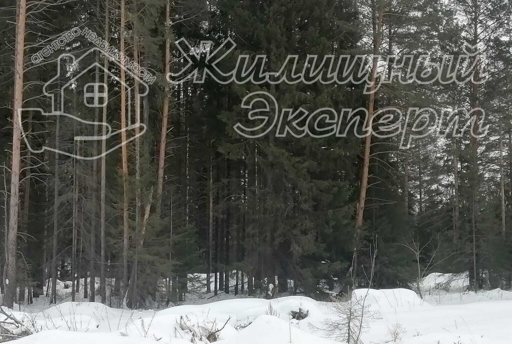 земля г Ревда ул Апрельская фото 2