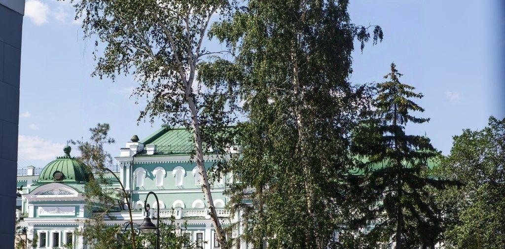 комната г Омск р-н Центральный ул Ленина 10 фото 29