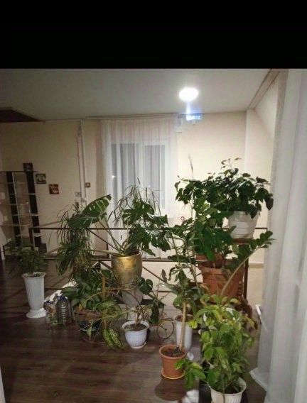 комната г Лангепас ул Солнечная 35к/2 фото 7