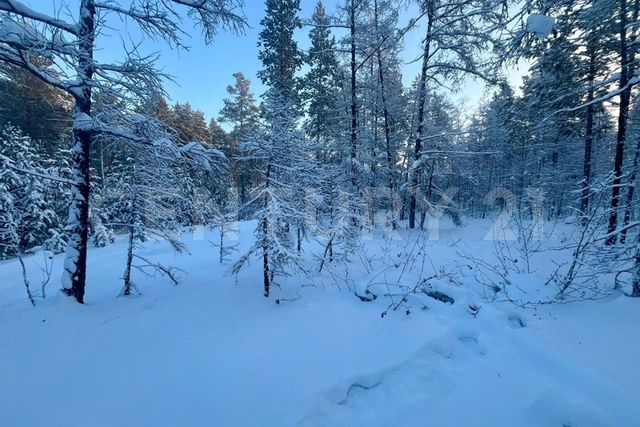 улус, Республика Саха Якутия, посёлок городского типа Нижний Бестях фото