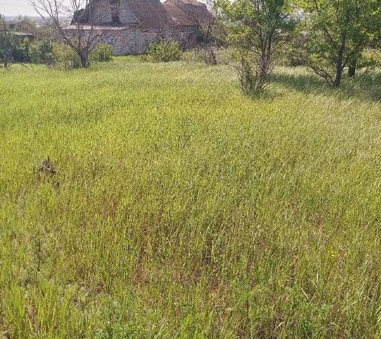 земля городской округ Элиста, садовые участки фото