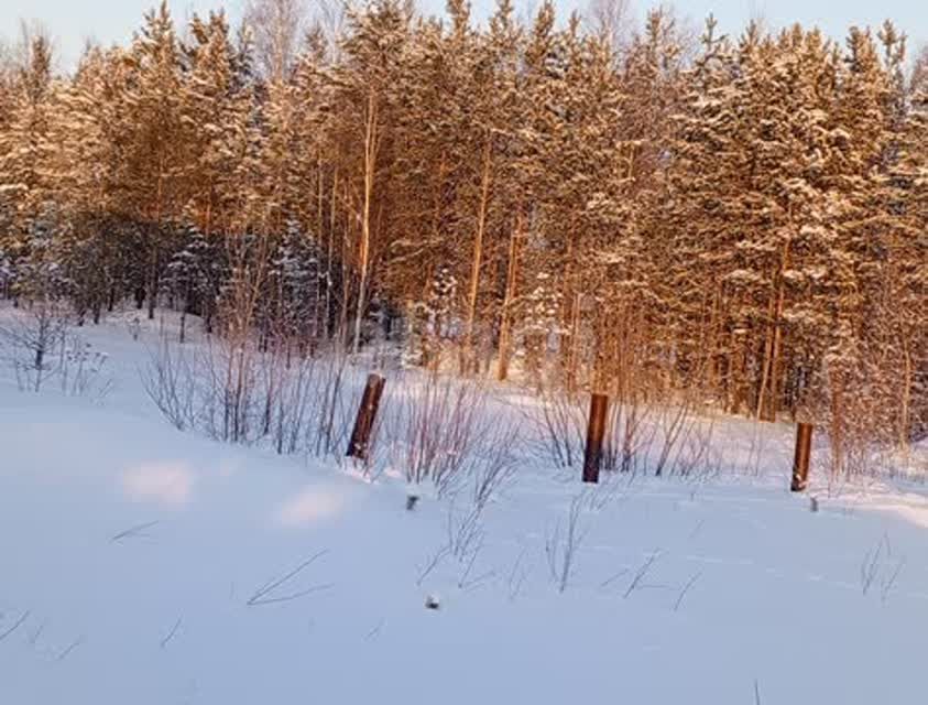 земля г Сургут снт Ручеёк ул Третья городской округ Сургут фото 6