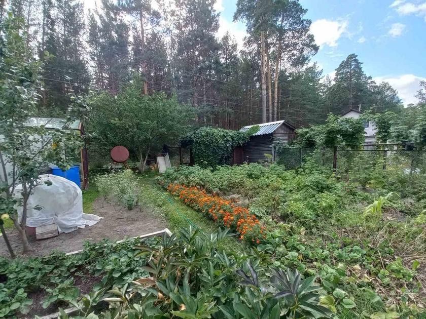 дом городской округ Тюмень, садоводческое некоммерческое товарищество Сосенка фото 5