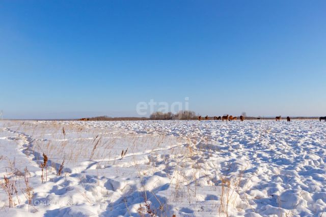 городской округ Хабаровск фото