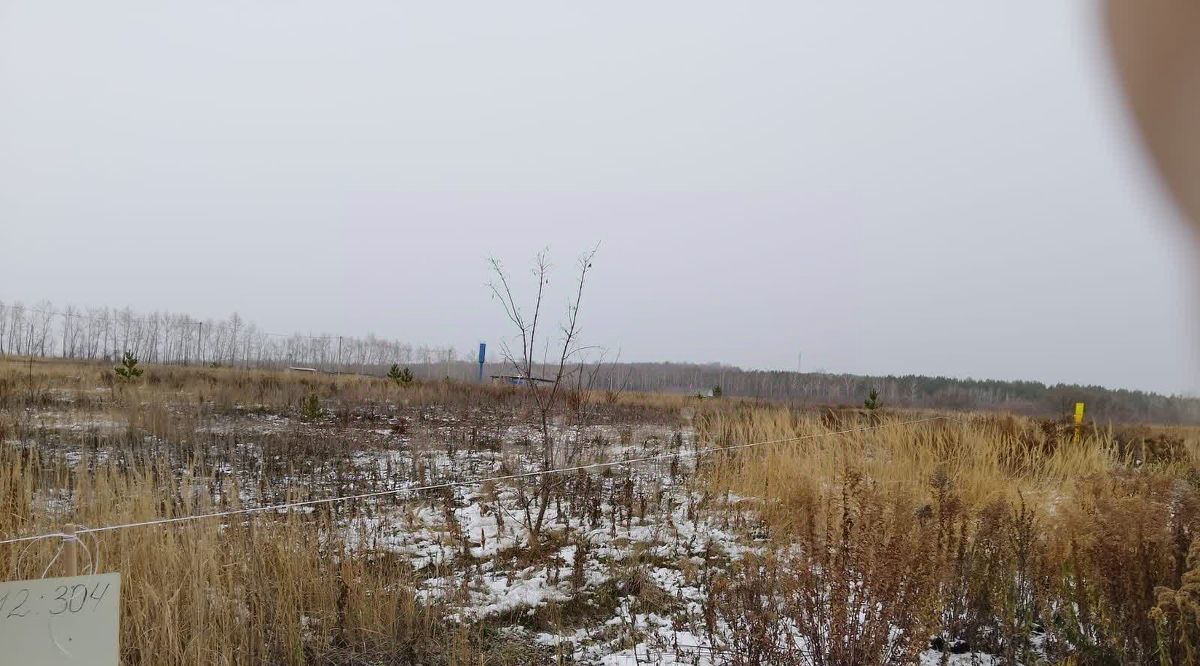 земля р-н Чишминский с Алкино-2 сельсовет, Лесной фото 4