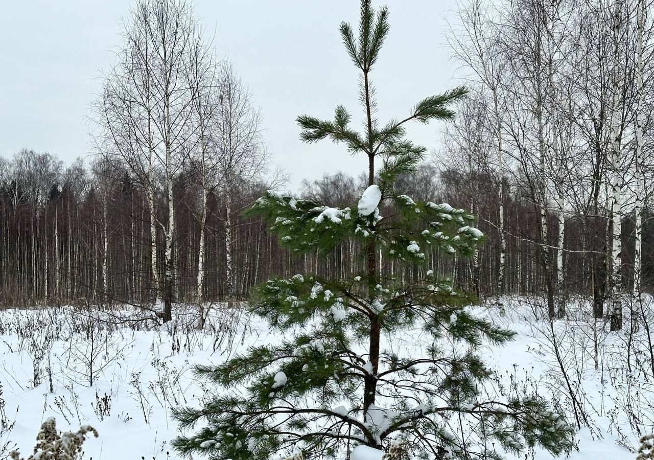 земля городской округ Истра д Сафонтьево Истра фото 2