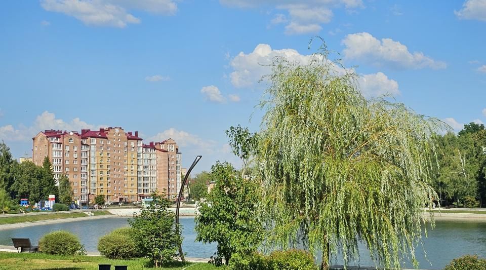 свободного назначения р-н Зеленодольский г Зеленодольск ул Космонавтов 1 фото 21