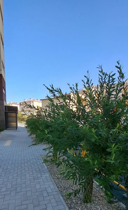 квартира р-н Анапский г Анапа ул Рождественская 55к/1 фото 30