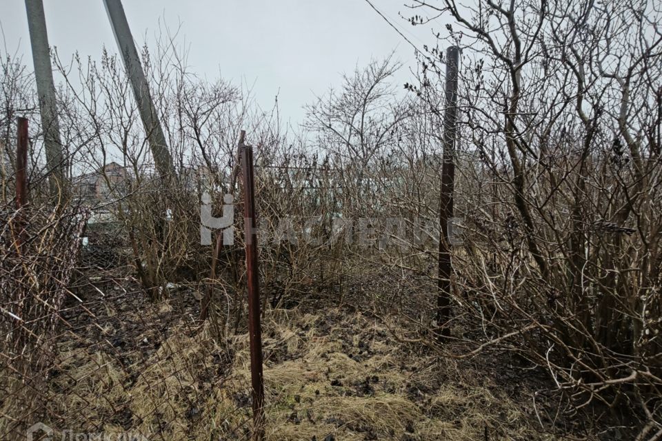 земля р-н Неклиновский с Николаевка садовое товарищество Полёт фото 2