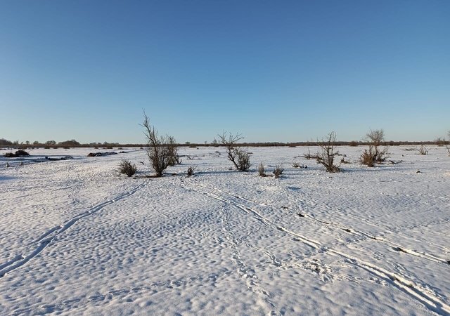 ул Пролетарская Тарумовка фото