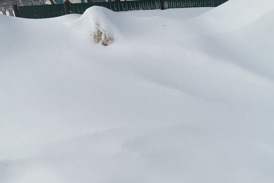 дом г Ульяновск пер Богданова 12 городской округ Ульяновск фото 1