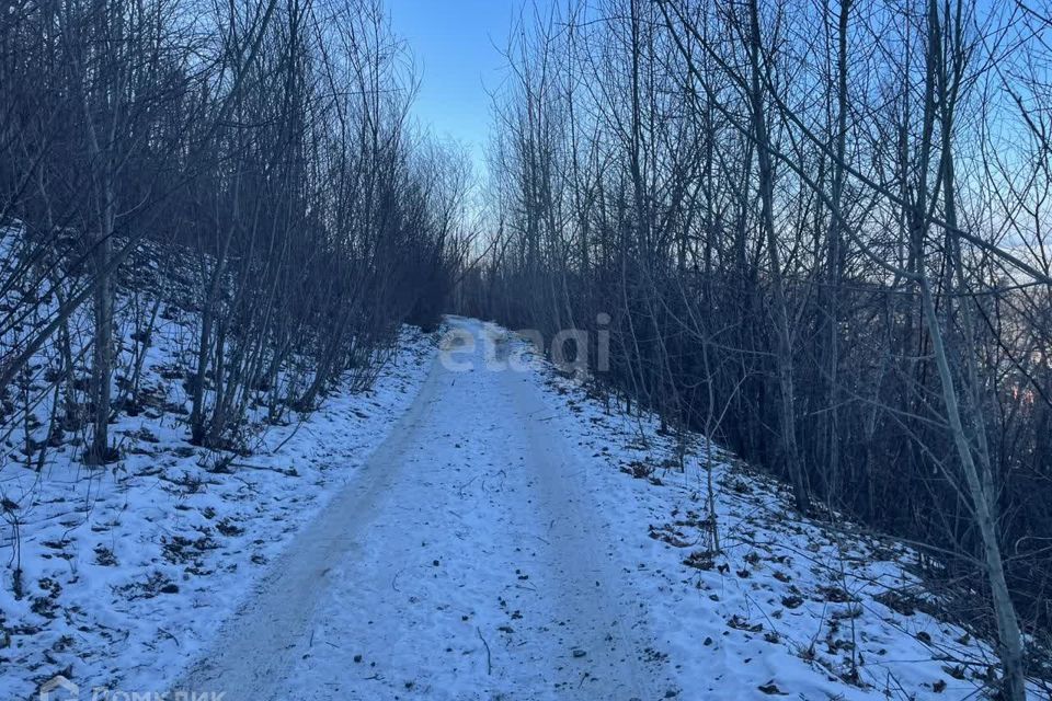 земля г Владивосток ул Сурикова Владивостокский городской округ фото 3