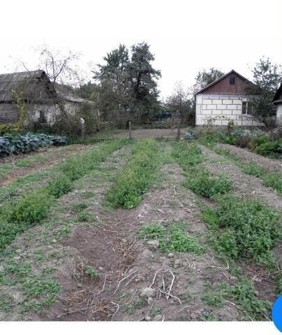 пгт Красногвардейское снт Мелиоратор 5-я ул., 61, Красногвардейское фото