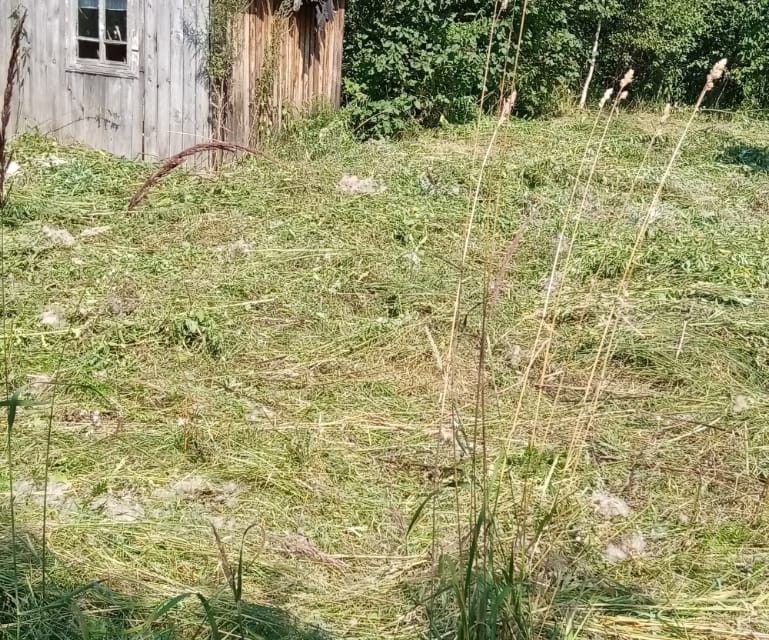 земля г Кострома ул Родная городской округ Кострома фото 1