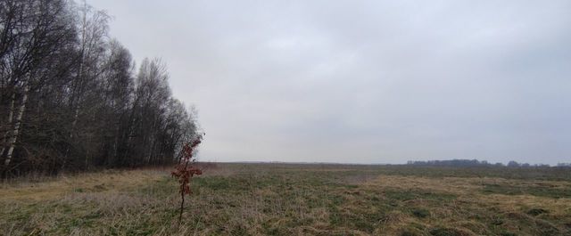 земля Калининград, Багратионовский муниципальный округ фото