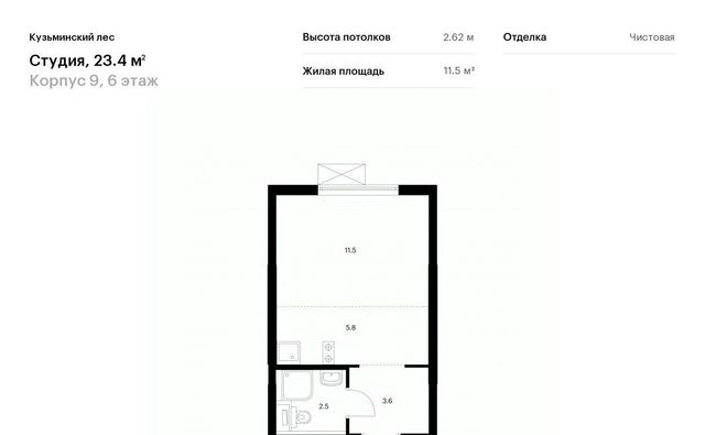 Кузьминский лес к 9, Котельники фото