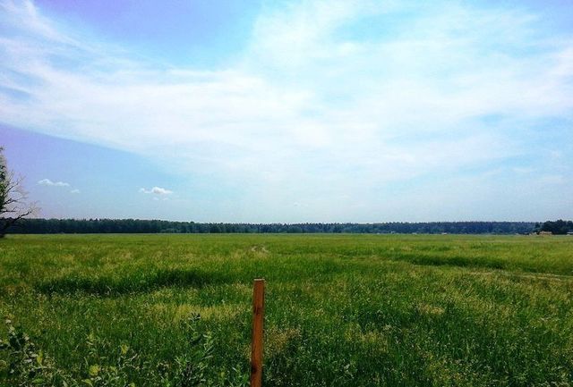 земля с Астыровка Астыровское сельское поселение, Горьковское фото