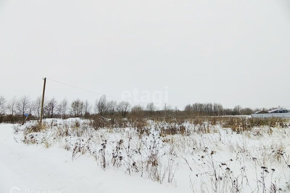 земля городской округ Воскресенск территория Сосновый бор фото 6
