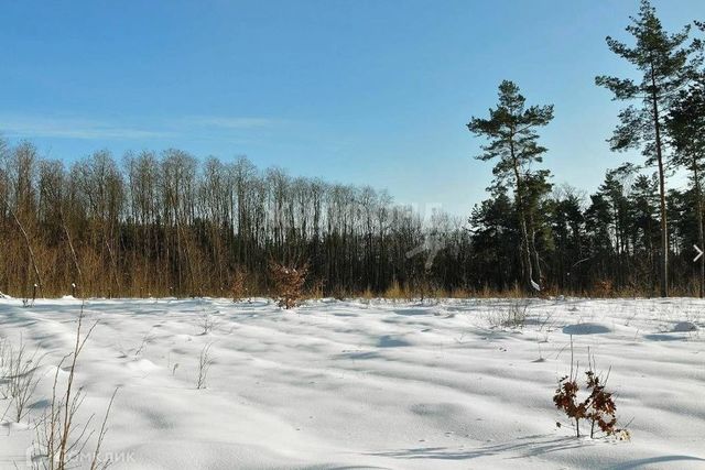 садовые участки, городской округ Благовещенск фото