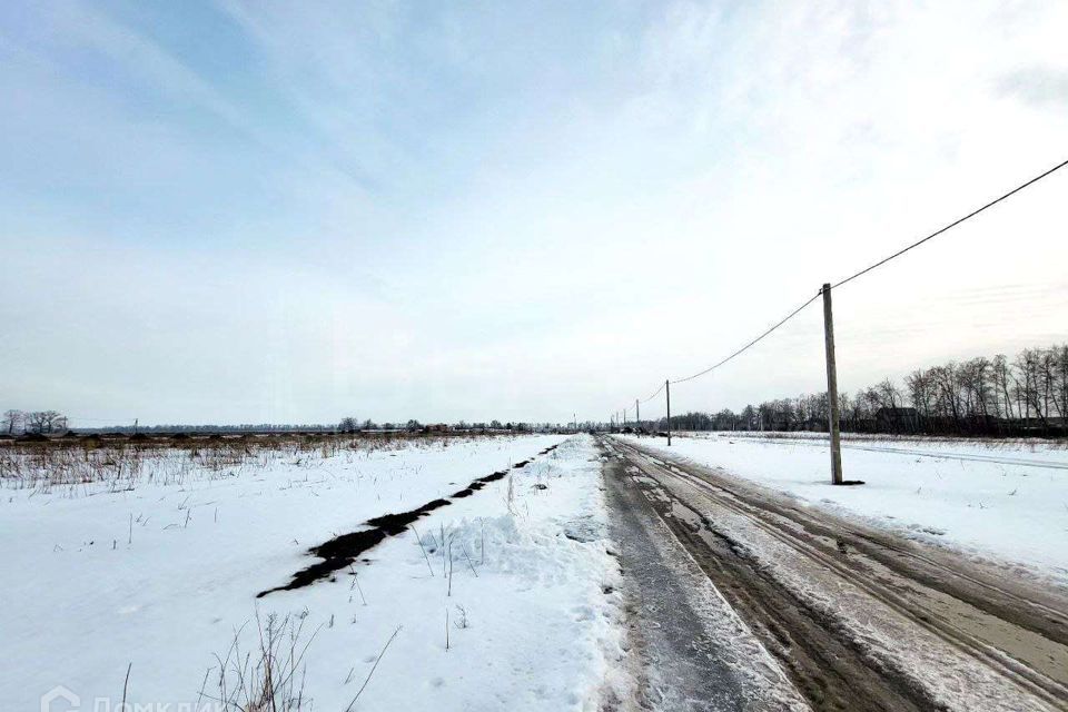 земля р-н Новоусманский с Новая Усмань микрорайон Соловьиный фото 3