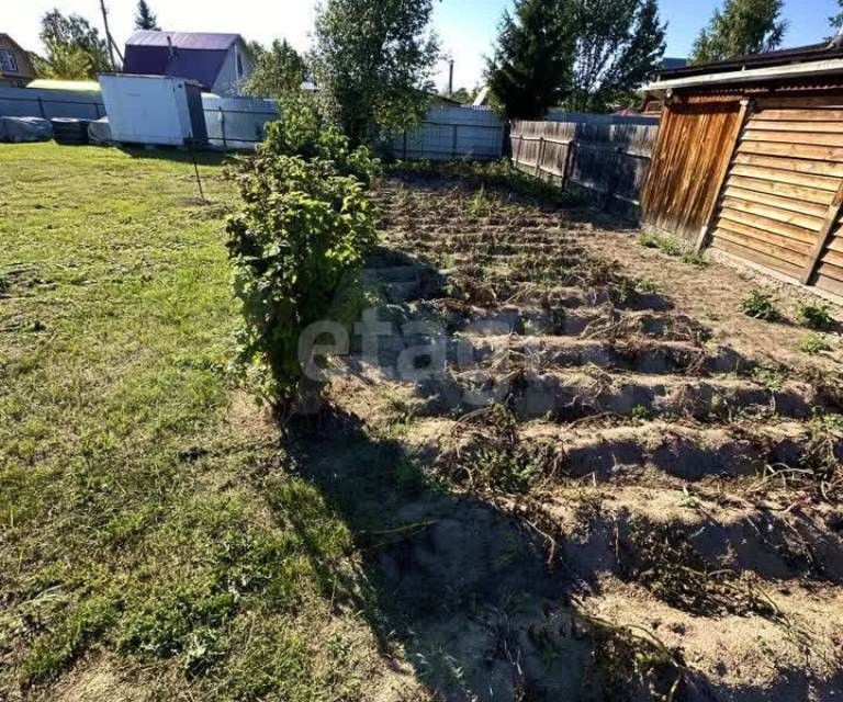 земля городской округ Тюмень, СНТ Самотлор фото 1