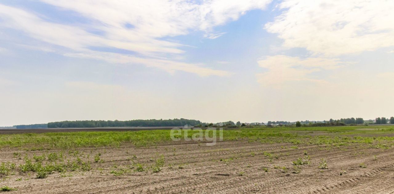 земля г Тюмень п Тараскуль ул Приозерная фото 5