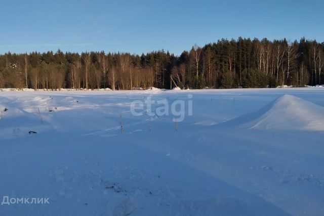 земля дом 19 городской округ Домодедово фото