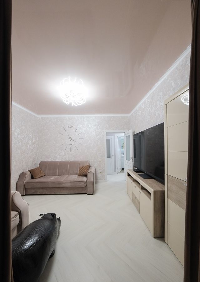 квартира г Сочи р-н Хостинский пр-кт Курортный 102/1 фото 5