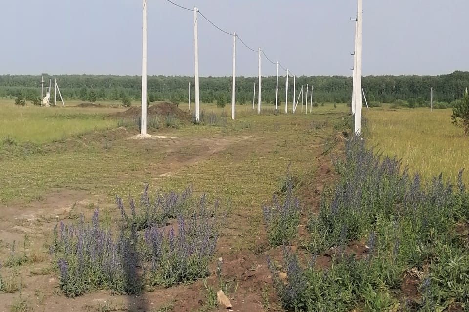 земля р-н Сосновский с Большие Харлуши ул Соловьиная фото 2