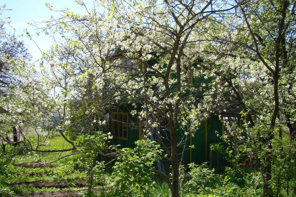 дом городской округ Подольск садоводческое некоммерческое товарищество 2-Толбино, 11 фото 4