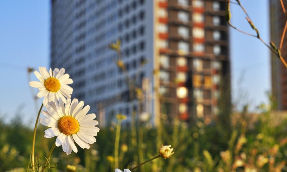 квартира г Екатеринбург р-н Верх-Исетский ул. Металлургов, стр. С 5 фото 1