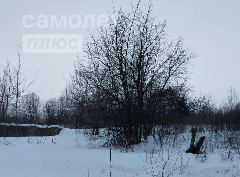 земля г Горно-Алтайск снт Кооператор-3 фото 4