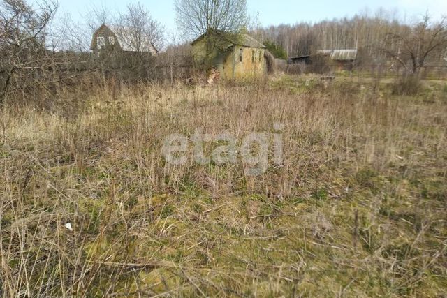 городской округ Кострома, 70, садоводческое некоммерческое товарищество Берёзка-1 фото