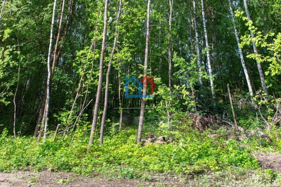 земля г Тобольск фото 1