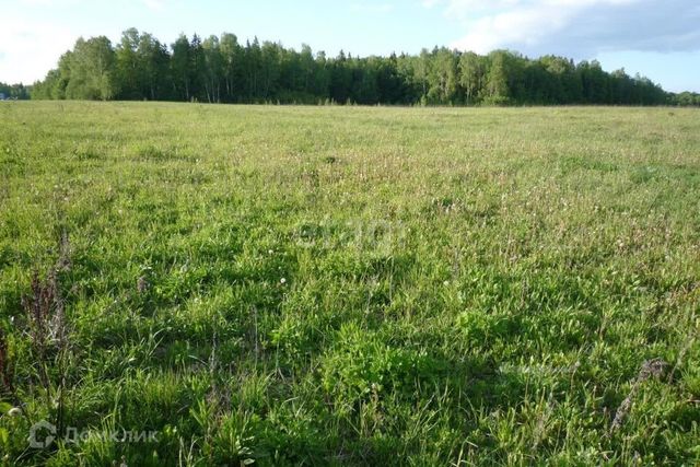 городской округ Сосновоборск, микрорайон 12А фото