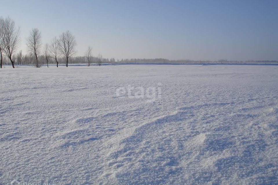 земля г Сосновоборск городской округ Сосновоборск, микрорайон 12А фото 3