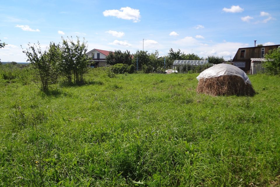 земля р-н Богородский д Инютино ул Советская 19 фото 1