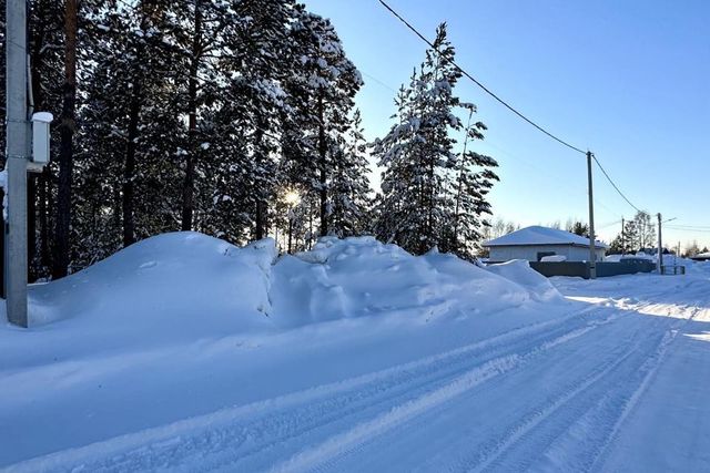 тер ДНТ Тихий бор ул Тихая городской округ Сургут фото