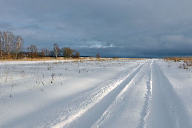 земля село Нечкино фото