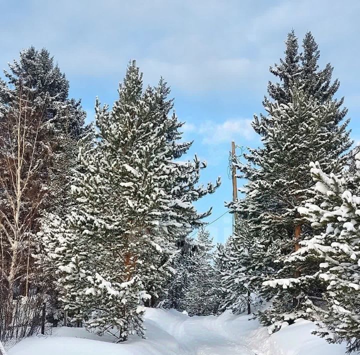 земля р-н Пригородный с Шиловка фото 5