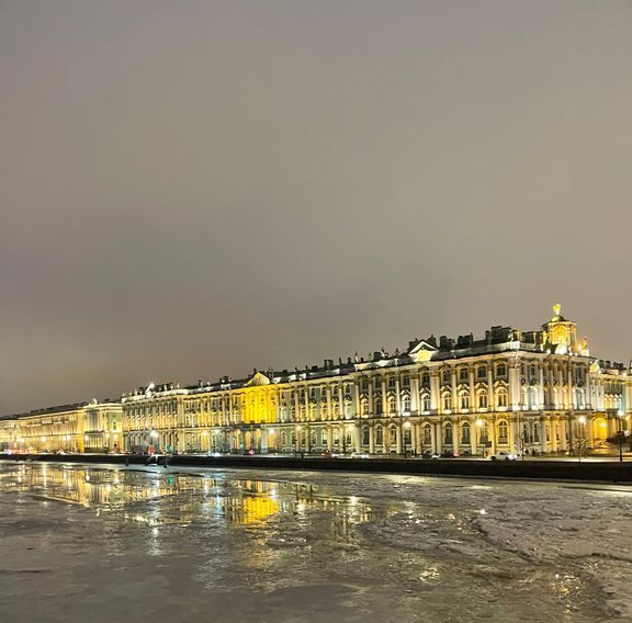 квартира г Санкт-Петербург метро Спортивная ул Блохина 4 фото 19