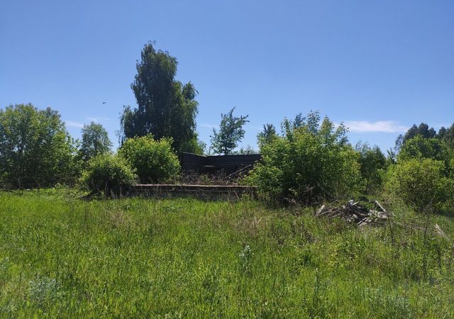 Оськинское сельское поселение, Тума фото