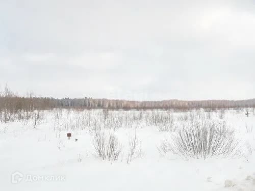 городской округ Сосновоборск, Сосновоборск фото