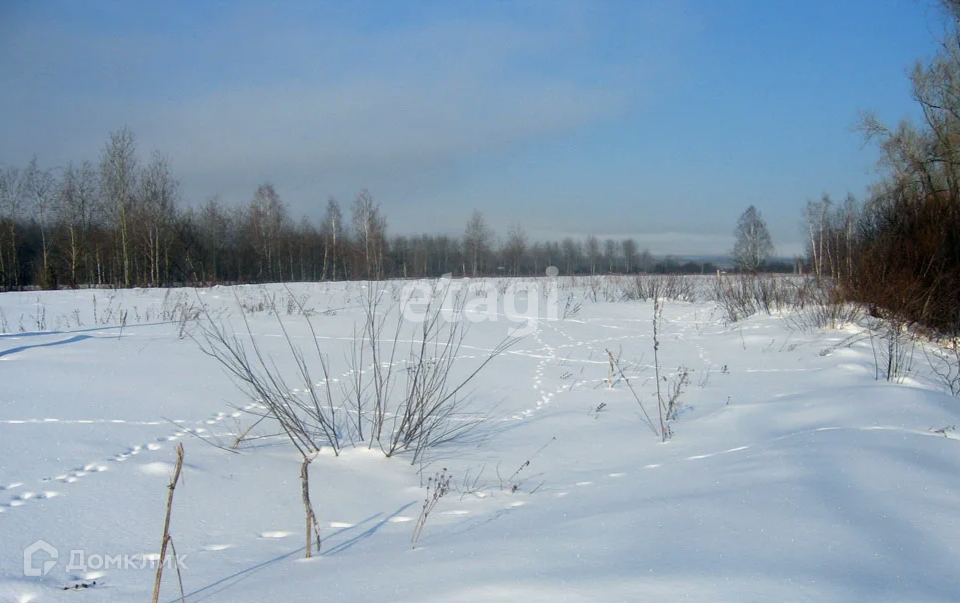 земля г Юрга Юргинский городской округ, Раздольная улица фото 1