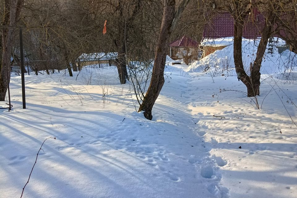земля г Калуга городской округ Калуга, деревня Железняки фото 6