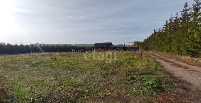 земля Новоникольское сельское поселение, Альметьевск фото