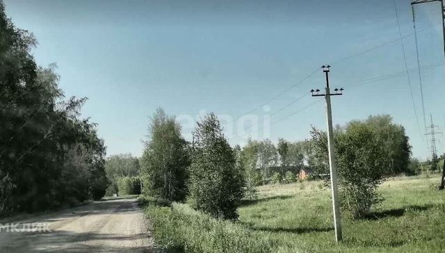 село Ульяновка фото